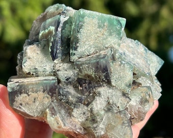 Amas de cubes de fluorite verte de mine de Lady Annabella -- Poison Ivy Pocket -- de Weardale, Angleterre