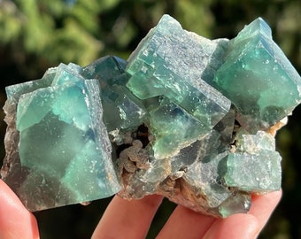 Peut inclure: Un groupe de cristaux de fluorine verte avec une texture naturelle et rugueuse. Les cristaux sont translucides et ont une légère teinte bleue. La fluorine est posée sur une matrice de roche brune et grise.