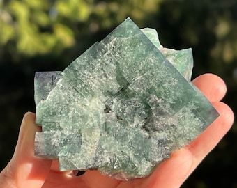 Peut inclure: Un amas de cristaux de fluorine verte avec une structure cubique. Le cristal est translucide et a un léger éclat. Le cristal mesure environ 7,5 cm.