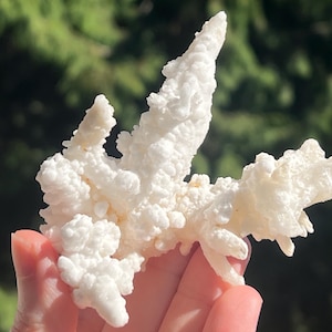 White/Cream Colored Calcite Cluster - Nice Quality - from Wenshan, Yunnan, China