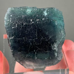 May include: A close-up of a teal and dark blue fluorite crystal. The mineral has a cubic structure with visible fractures and a glassy luster. The crystal is held on a clear acrylic stand, showcasing its natural beauty.