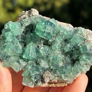 Hidden Forest Pocket Green Fluorite Crystal Cluster from Diana Maria Mine, Weardale, England
