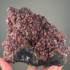 May include: A natural mineral specimen with a cluster of small, sparkling, deep red crystals. The crystals cover a dark, rough base with a black section. The overall shape is irregular, with a textured surface. The mineral is held by a hand.