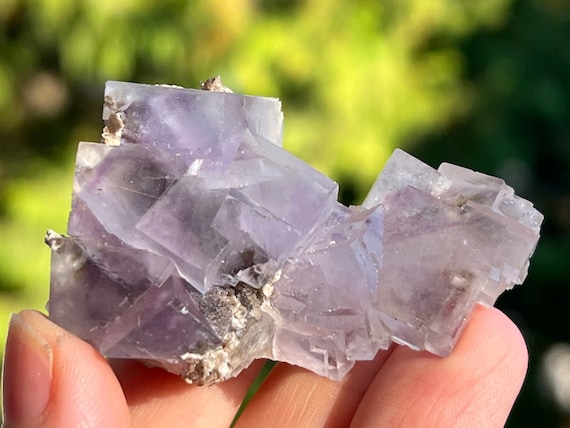 中国湖南省産、ヤオガンシアン産ブルー/パープルファントムフロー