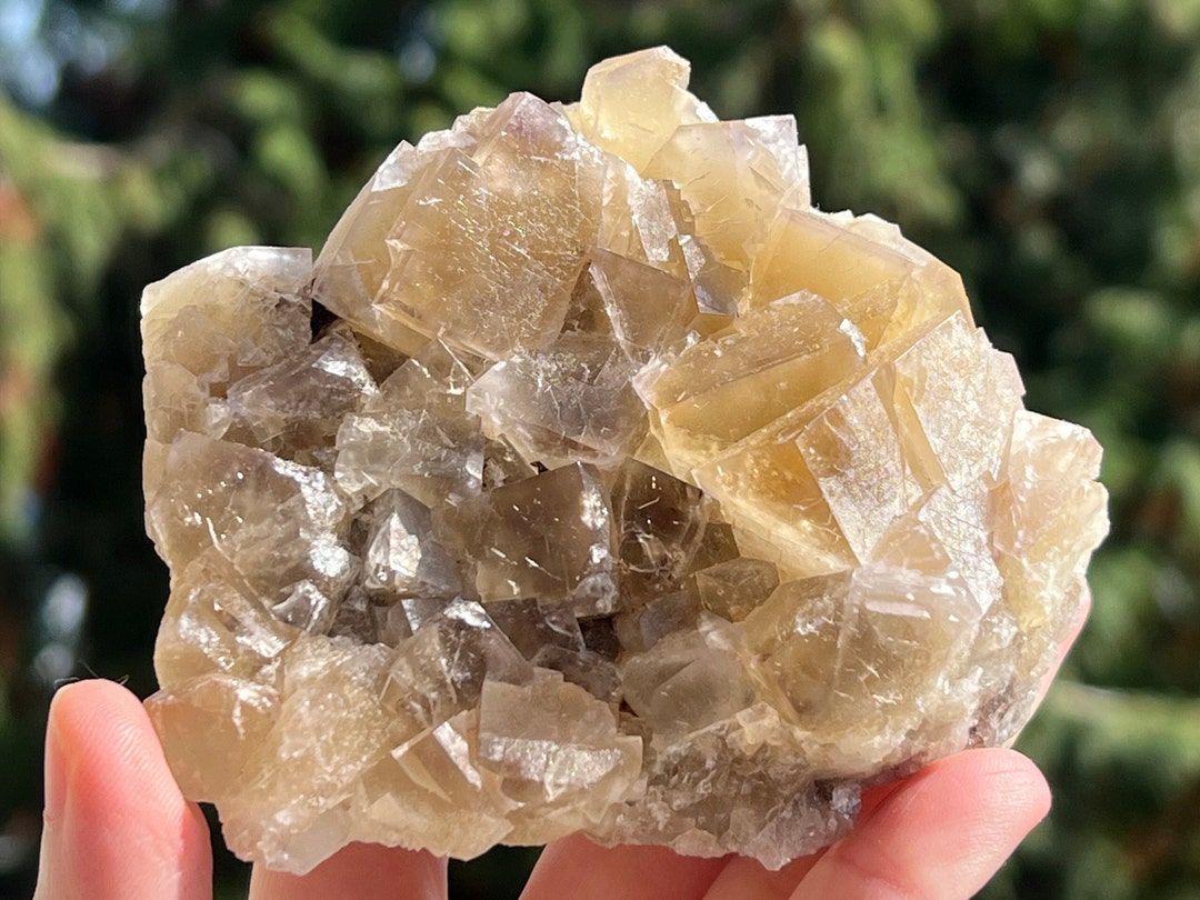 Lady Annabella Harvest Pocket Yellow Fluorite Crystal Cluster Etsy