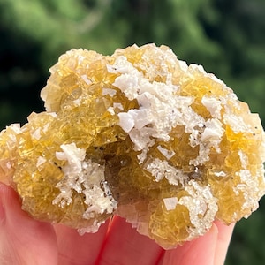 Moscona Mine Yellow Fluorite Cube Cluster with Dolomite -- Very Nice Quality -- from Asturias, Spain