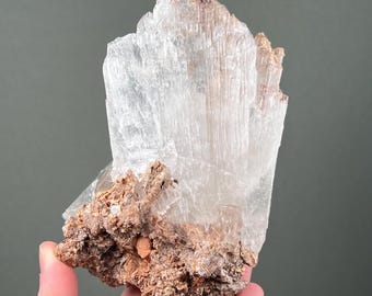 Large Clear/White Selenite Crystal on Matrix from Bermejillo, Durango, Mexico