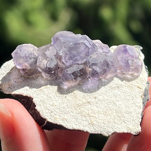 Fujian Purple Fluorite Cluster on White Matrix from China
