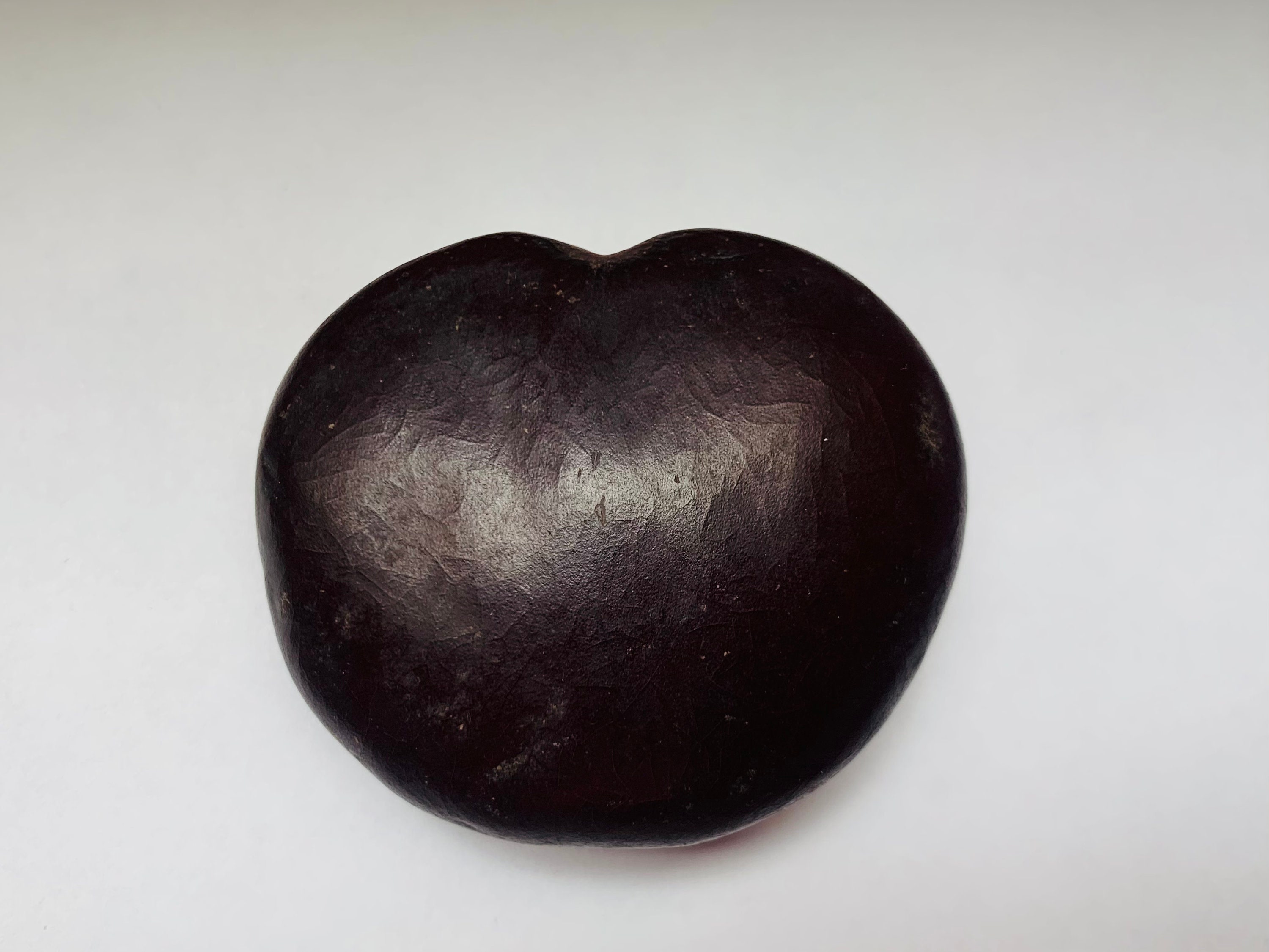 100 Natural Sea Bean Lucky Bean Heart Bean Drift Seeds 1 Etsy