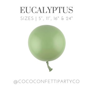 Eucalyptus Premium Latex Balloons, MATTE, Individual Balloons for Party Decorations, Balloon Bouquets, Boho, Earth Tone, Sage, Greenery