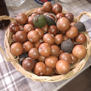 Op de afbeelding: Een gevlochten mand vol macadamianoten. De noten zijn in verschillende bruintinten, met een paar groene en donkergekleurde noten ertussen. De mand heeft een handvat en staat op een geruite tafelkleed.