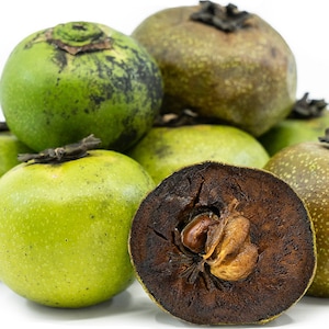 Diospyros nigra, Black sapote, Chocolate pudding fruit, Zapote prieto, 10 seeds April 2025