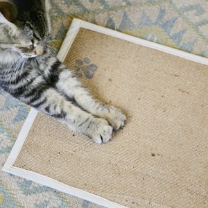 Kitty Cure Cat Mat