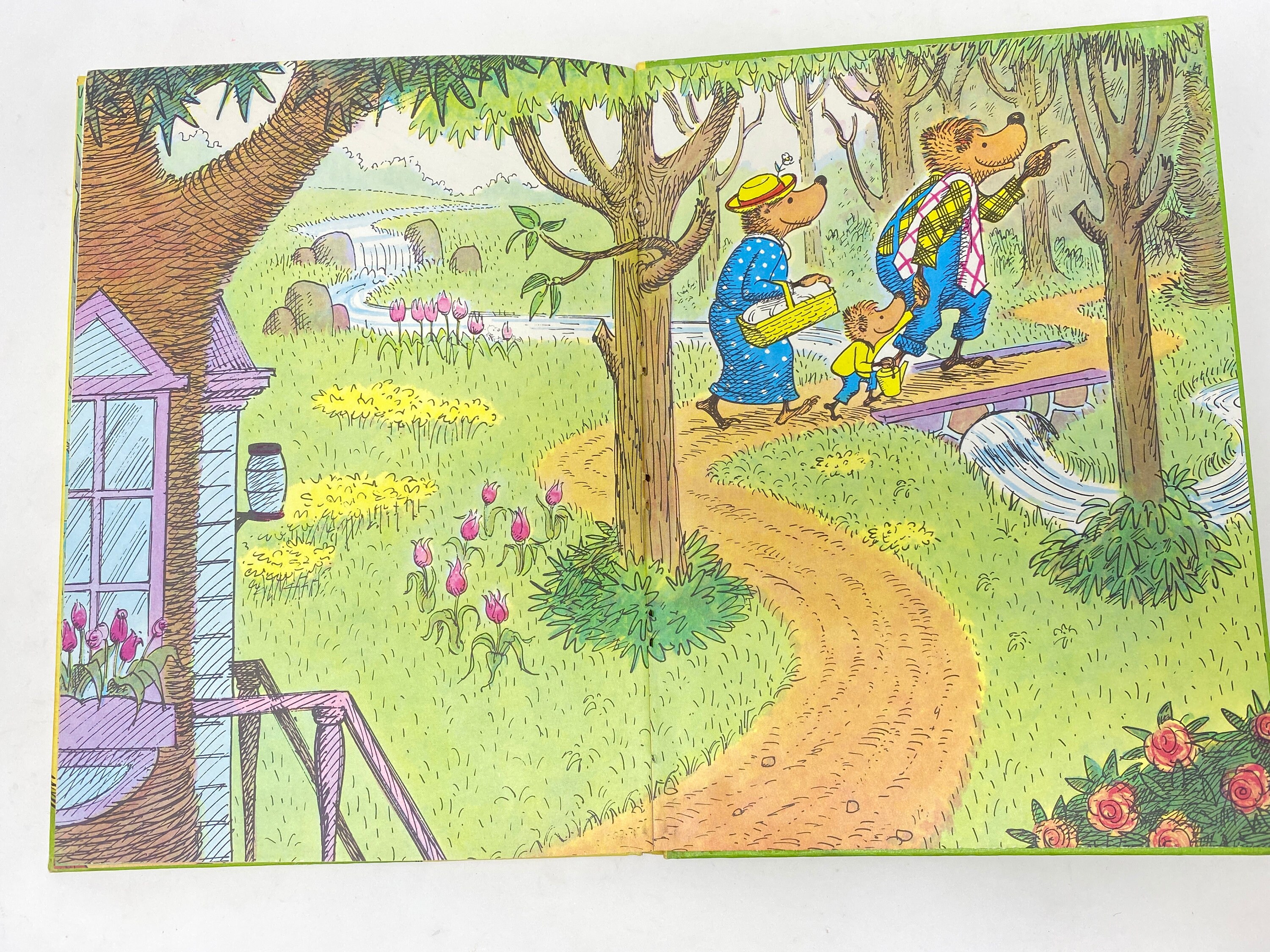 Vintage the Bears' Picnic by Stan and Jan Berenstain - Etsy