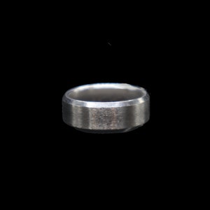 May include: A silver ring with a brushed finish.