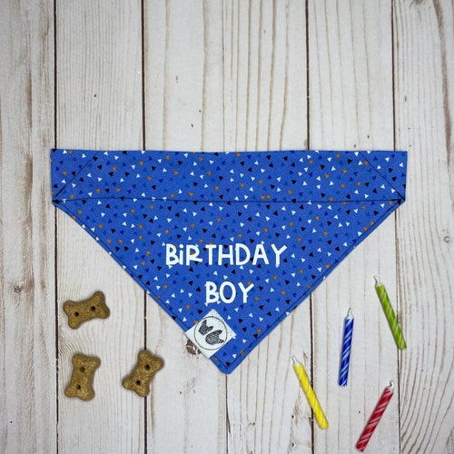 Birthday Boy Dog Bandana Over the Collar Dog Bandana Custom Etsy