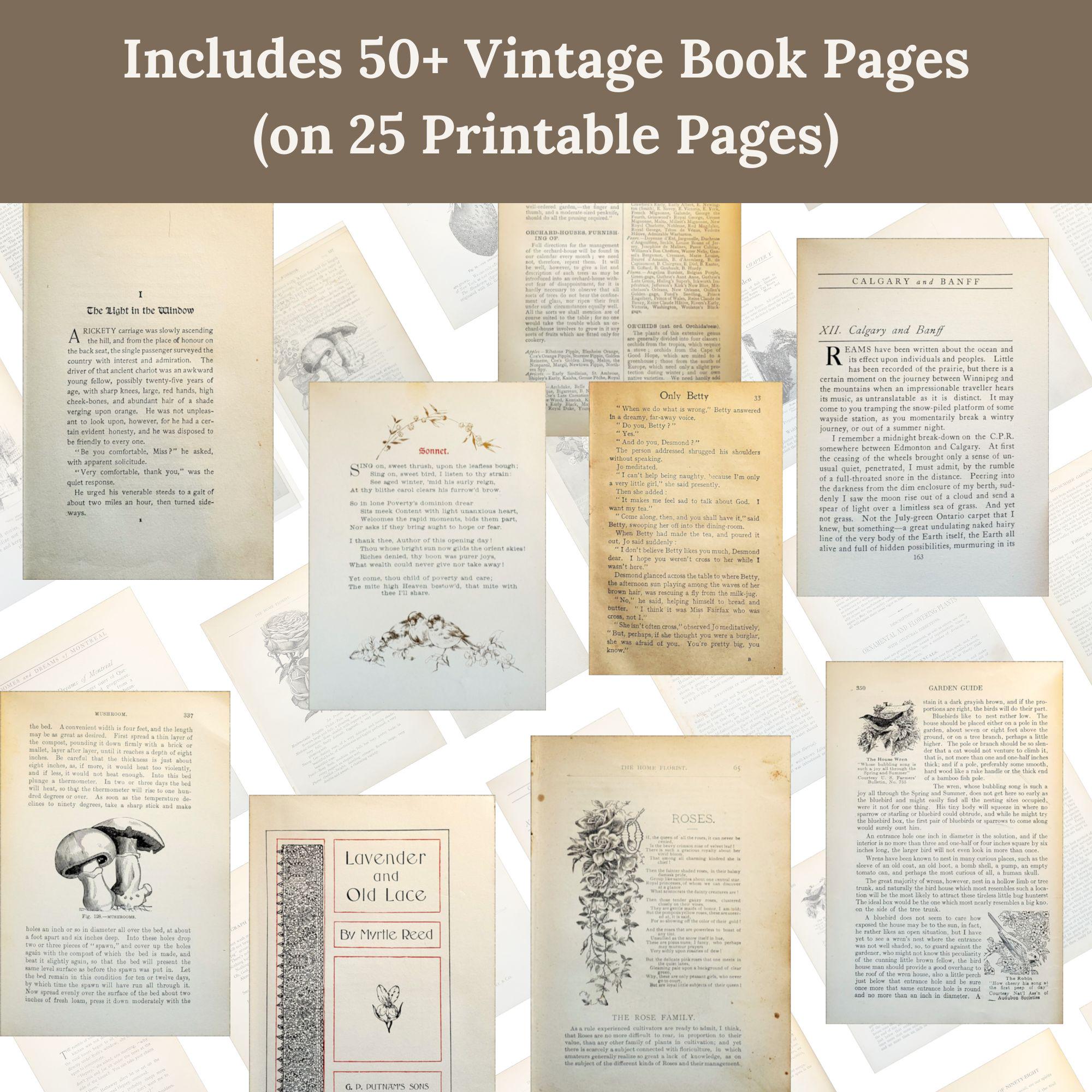 50+ Vintage Book Pages, Printable Ephemera Pack for Junk Journals ...