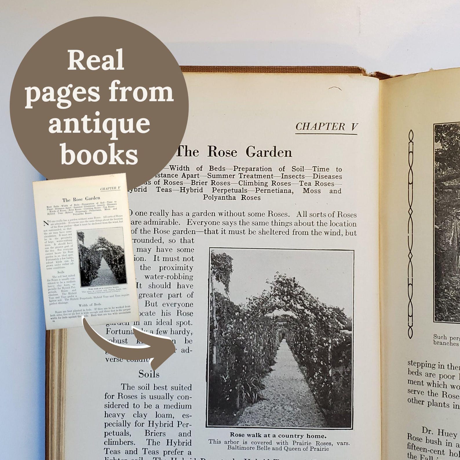 50+ Vintage Book Pages, Printable Ephemera Pack for Junk Journals ...