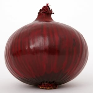 RED SPANISH ONION Seeds - Allium cepa / Easy to grow / Make Fresh Salads Picked Right From the Garden - Red Spanish Onion Seeds