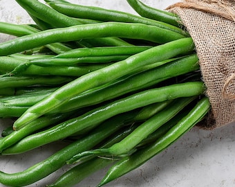 25+ BLUE LAKE Green Pole Bean Seeds - Phaseolus Vulgaris /Heirloom / Trellises/ French Bean / Salads/ Preserving Canning/Open Pollinated/
