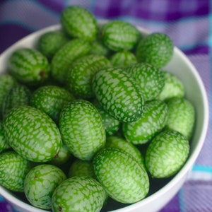 Könnte beinhalten: Eine weiße Schüssel gefüllt mit grünen, unebenen, gurkenartigen Gemüsen. Die Schüssel steht auf einer lila-weißen karierten Tischdecke.