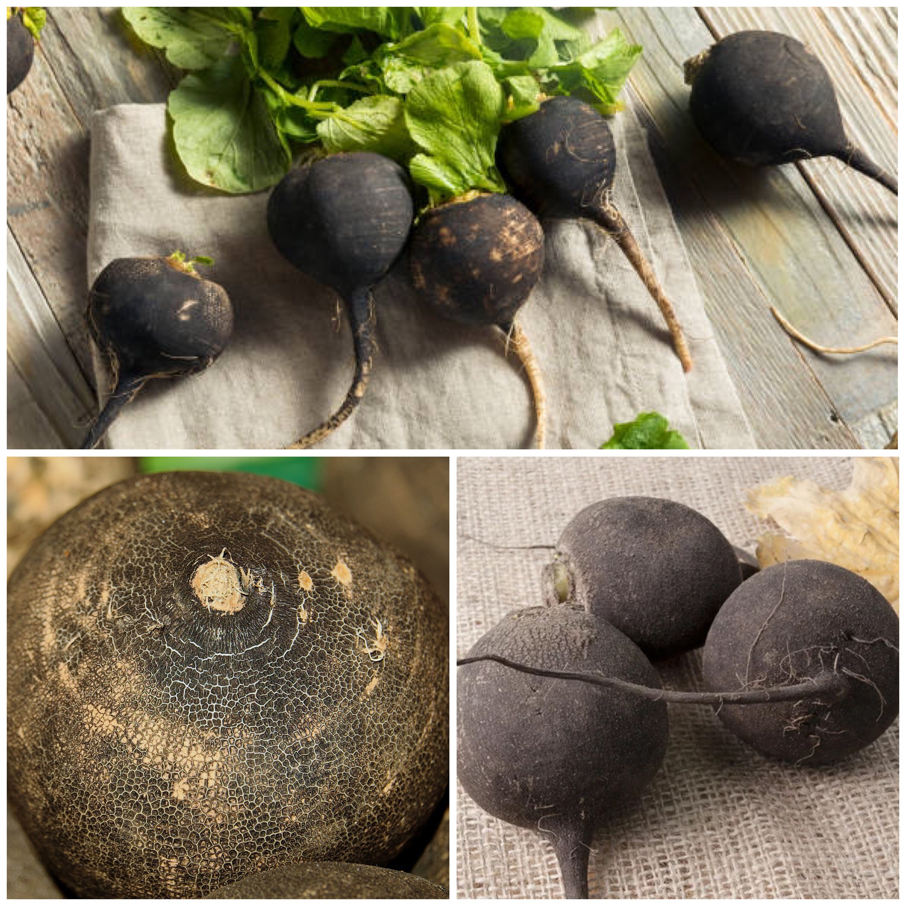 1000 Semillas De Rábano Redondo Negro De Invierno - Variedad Resistente, Sabor Picante, Cultivo Fácil