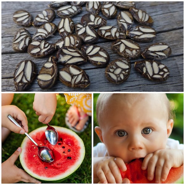 Semillas de sandía turca raras - Cekirdegi Oyali, sandía turca tradicional / Natures Seed Art / Materiales para manualidades / Semillas muy raras