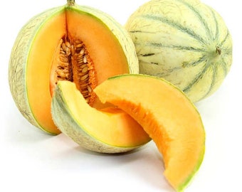 French Charentais Melon Seeds - Melons used in Cindy Crawford Meaning Beauty Anti Aging Beauty / Old French Secret Heirloom Cantaloupe