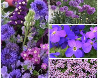 Heavenly Blue Splendor Flower Garden Mix Seeds - Annual Self Seeding Blues and Purple Wildflowers / Attracts Pollinators 75 or 200 Seed Pack