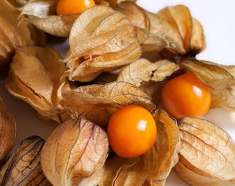 Golden Berry Seeds - Cape Gooseberry / Peruvian groundcherry / Pichuberry / Fresh Fruit Vegetable / Poha Berries Non GMO Cape Berries Seeds