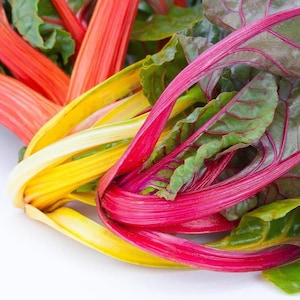 以下が含まれることがあります： カラフルなスイスチャードのクローズアップ。赤、黄、オレンジの色合いの鮮やかな茎と、緑の葉の先端が特徴です。新鮮な農産物は白い背景に配置され、野菜の自然な色と質感を際立たせています。
