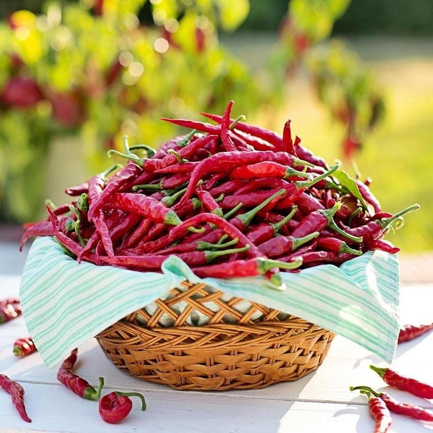 25+ Semi di Peperoncino Rosso Thailandese - Capsicum annuum / Peperoncino Bird Eye / Peperoncini Asiatici Piccanti / Cucina Thailandese / Peperoncini