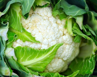 100+ CAULIFLOWER SUPER SNOWBALL Seeds - Brassica Oleracea/ Self Blanching / Excellent Fresh / Pickling / Freezing / Heirloom / Non Gmo /