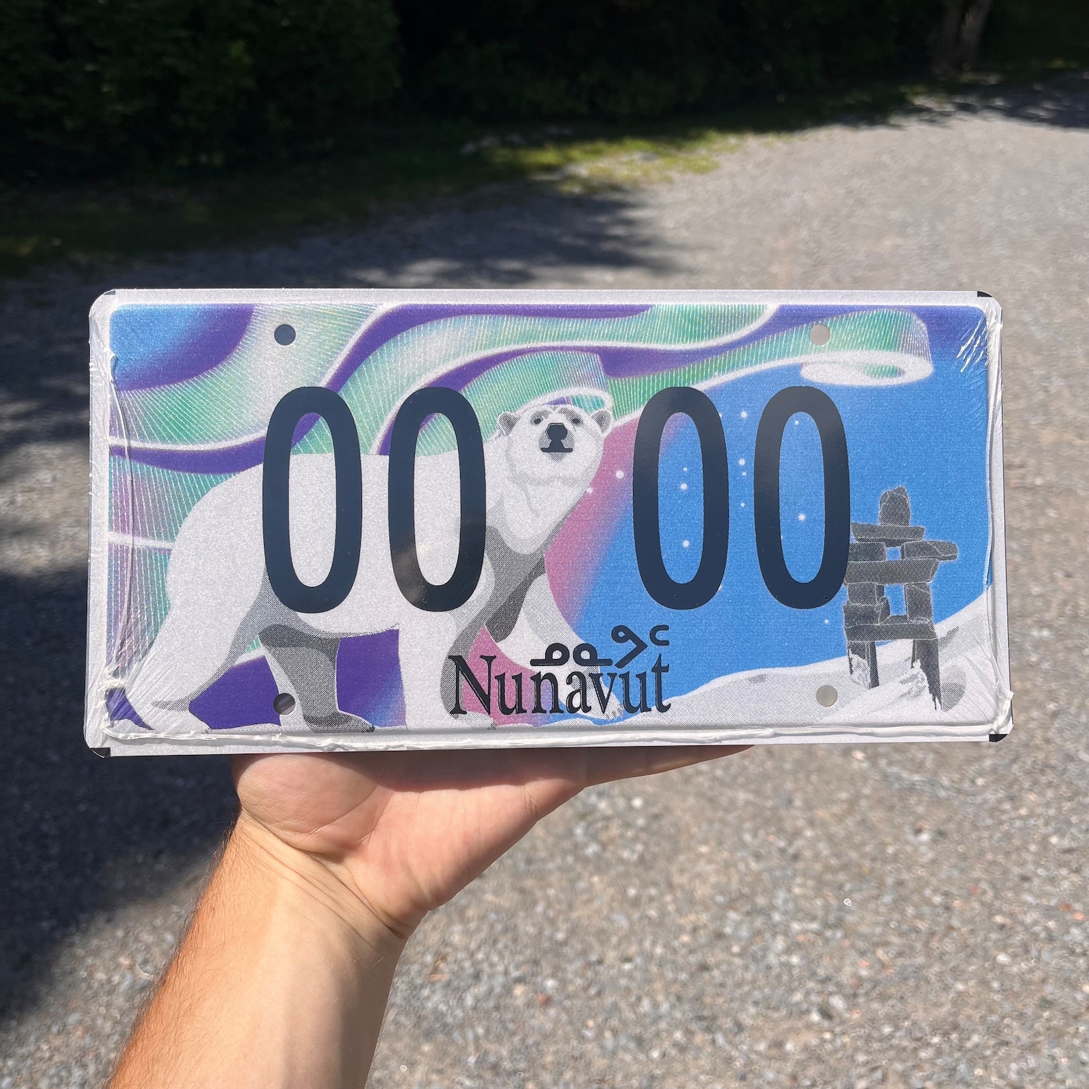 Nunavut Graphic Polar Bear Sample Passenger License Plate, Canada, Man ...