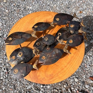 Brutalist Welded Metal Fish Wall Sculpture, Coastal, Nautical, Aquarium, Mcm, Metal Sculpture, Wall Decor, Gallery Wall, Ocean, Kids Room