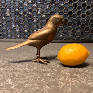 Brass Parrot Sculpture, Brass Decor, Brass Bird, Tropical, Paradise, Shelf Decor, Mid Century Modern, Coastal, Paperweight, Bookend