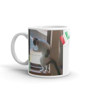 Big Floppa Caracal Cat Flopster Floppa Gregory Know Your Meme Etsy France