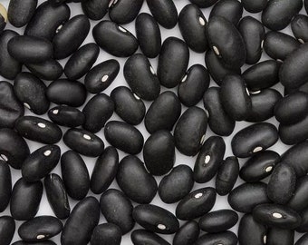 50 seeds-Black bean -Phaseolus vulgaris