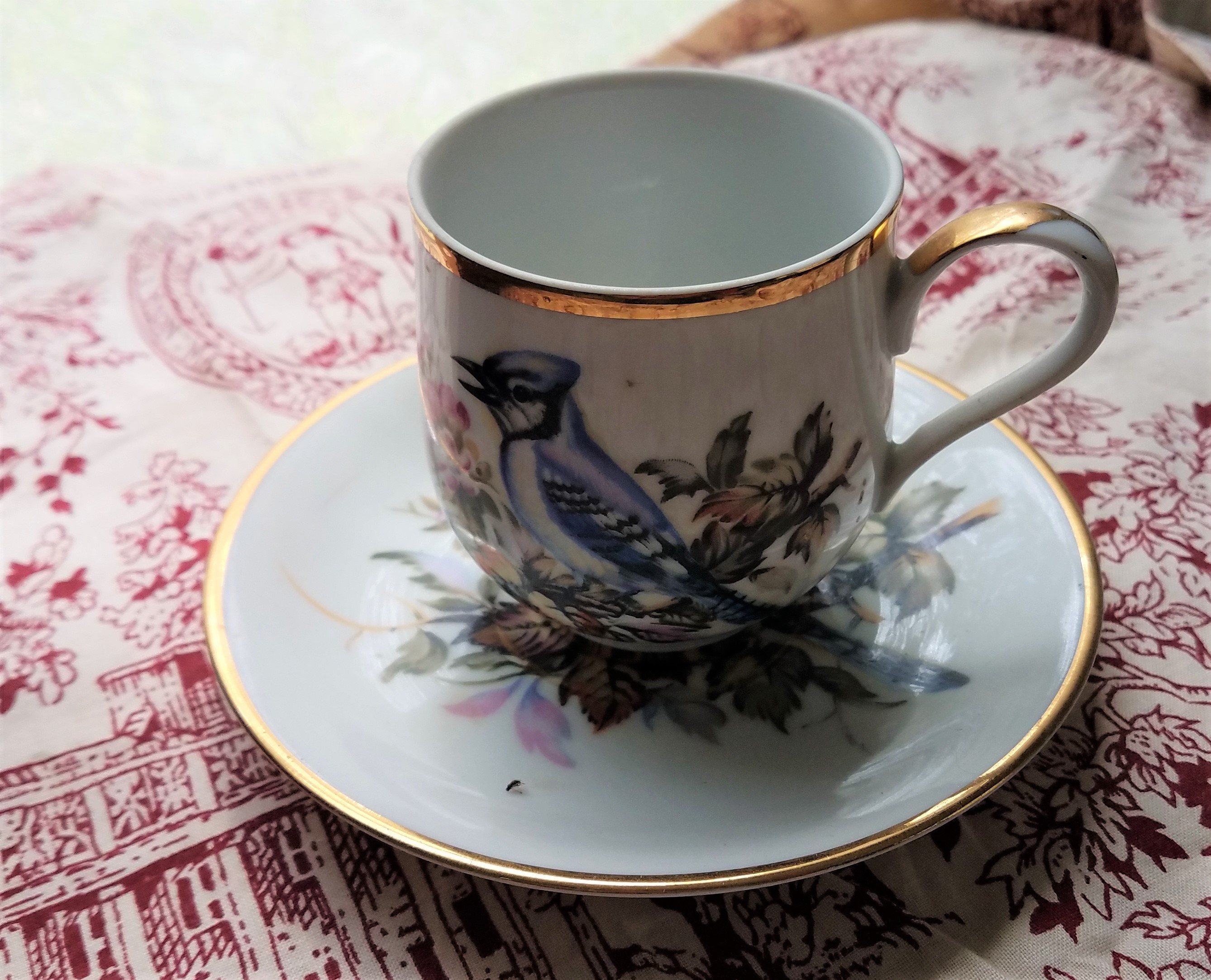 Blue Jay tea cup and saucer. Norcrest fine china c997 Etsy