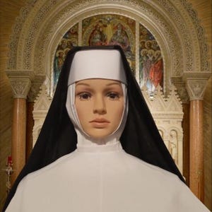 Dominican sister habit