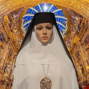 Immaculate Heart Franciscan nun habit