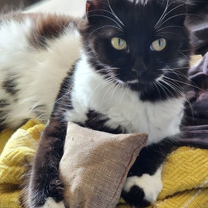 Catnip CatSack Play Toy