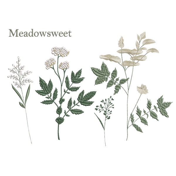 Meadowsweet Wildflowers Machine Embroidery Floral Meadow Flower Botanical Garden Pattern Instant Download Zip - ANY SIZE