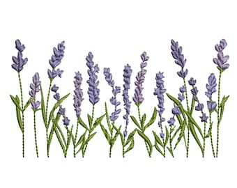 May include: A row of purple lavender flowers with green stems and leaves against a white background.
