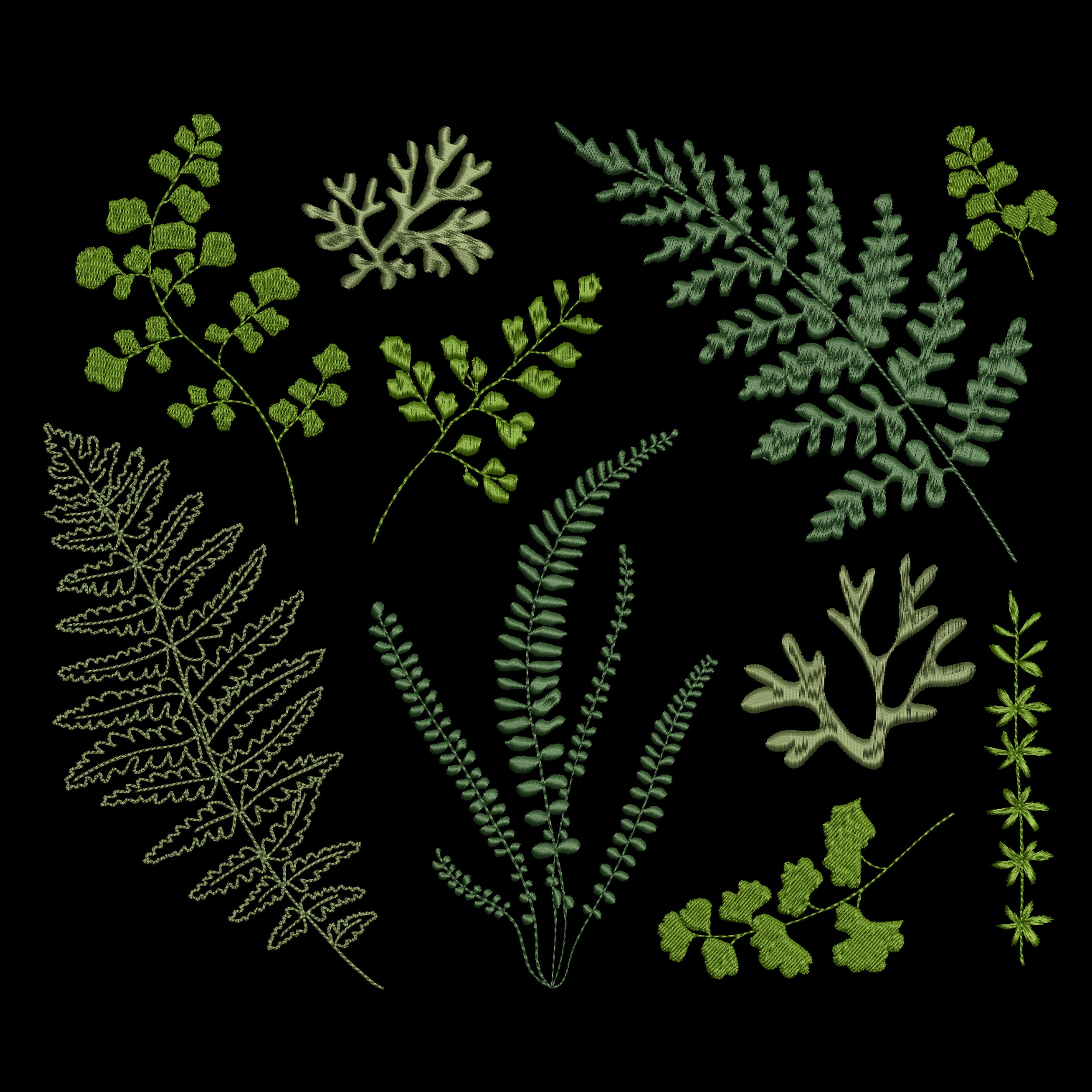 Forest Fern Machine Embroidery Design Bundle, 12 Ferns, Botanical ...