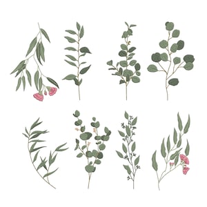 Könnte beinhalten: Ein Satz von acht Illustrationen von grünen Eukalyptus Zweigen mit rosa Blüten. Die Zweige sind in verschiedenen Posen angeordnet, einige mit Blättern, einige mit Blüten und einige mit beidem.