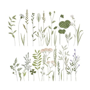 32 Wildblumen, Gras und Kräuter Maschinenstickerei, Florale Wiese Blumen Botanischer Garten Muster Instant Download - 5 Größen