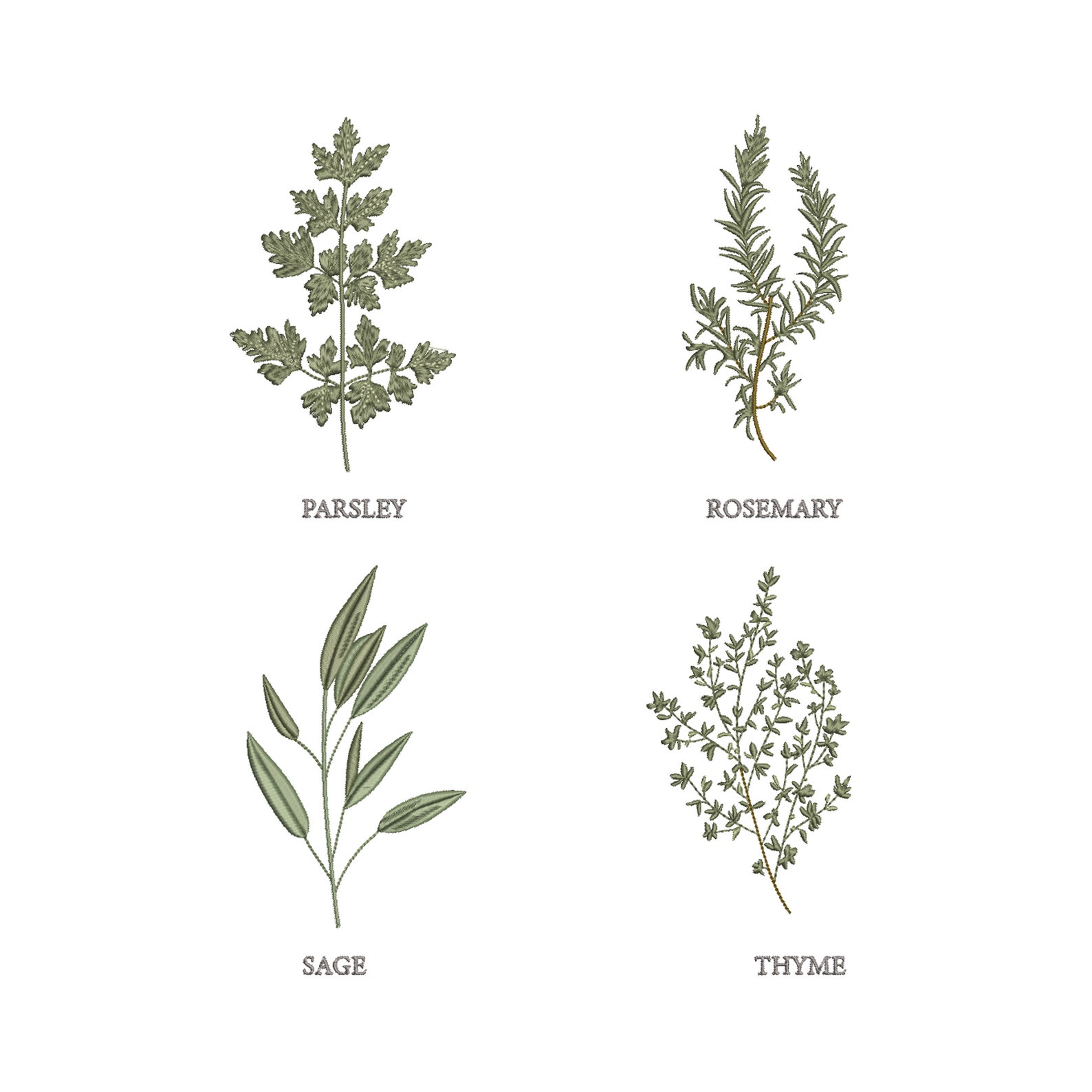 Herbs for Machine Embroidery Floral Botanical Thymes Rosemary Sage