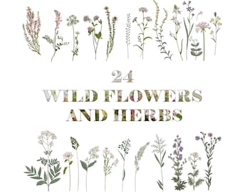 24 Wild flowers and herbs Machine Embroidery Floral Meadow Flower Botanical Grass Garden Pattern Instant Download Zip - 4 Sizes