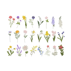 24 Birth Flower Wildflower Machine Embroidery Designs (Instant Download, 6 sizes)